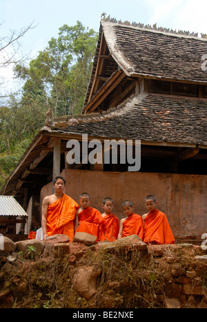 Theravada-Buddhismus, Mönch mit Anfängern gekleidet Orange Kutten, Tai Lue Tempel, Lue, Kloster, Ban La, Distrikt Gnot Ou, Yot Ou Stockfoto