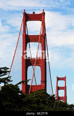 Golden Gate Bridge durch Bäume gesehen Stockfoto