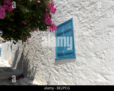 Bougainvillea und blauen Fensterläden in Perdika Street Aegina Insel-Attika-Griechenland Stockfoto