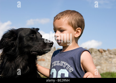 Kleinkind junge spielt mit seinem Haustier Border Collie Kreuz Hund im freien Stockfoto