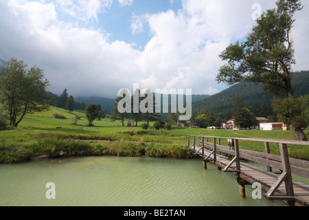 Skigebiet im Sommer, Losenheim (Puchberg Bereich in Österreichische Alpen) Stockfoto