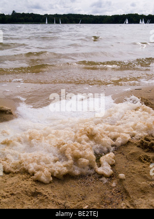 Schaum und Schaum auf dem Wasser am großen Teich Frensham. Churt, in der Nähe von Farnham, Surrey. VEREINIGTES KÖNIGREICH. Stockfoto