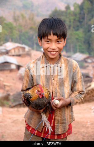 Armut, Porträt, Ethnologie, junge von der ethnischen Gruppe der Akha Djepia hält ein Huhn in seinem Arm, Vogelgrippe, Dorf Ban Chakhamda Stockfoto