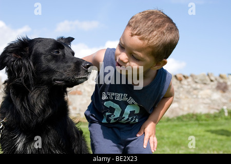 Kleinkind junge spielt mit seinem Haustier Border Collie Kreuz Hund im freien Stockfoto