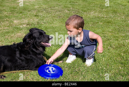 Kleinkind junge spielt mit seinem Haustier Border Collie Kreuz Hund im freien Stockfoto