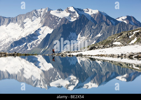 Mt. Hochfeiler spiegelt sich in den Friesenbergsee See, Zillertaler Alpen, Tirol, Österreich Stockfoto