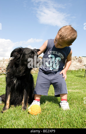 Kleinkind junge spielt mit seinem Haustier Border Collie Kreuz Hund im freien Stockfoto