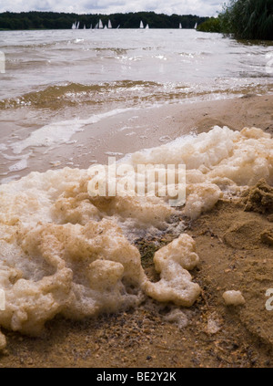 Schaum und Schaum auf dem Wasser am großen Teich Frensham. Churt, in der Nähe von Farnham, Surrey. VEREINIGTES KÖNIGREICH. Stockfoto