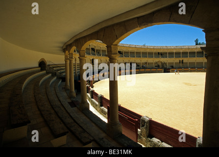 Historischen Stierkampfarena, weißen Dörfer, Ronda, Andalusien, Spanien, Europa Stockfoto