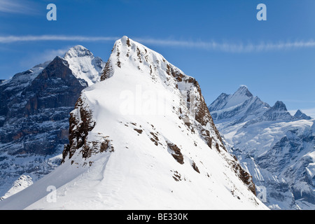 Berggipfel über Grindelwald, Jungfrauregion, Berner Oberland, Schweizer Alpen, Schweiz Stockfoto