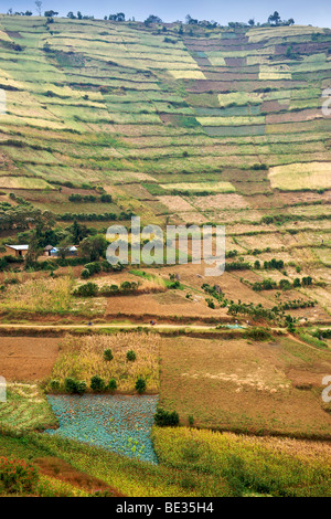 Landschaft entlang der Straße zwischen Kisoro und Muko in Süd-Uganda. Stockfoto