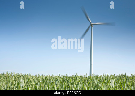 Windkraftanlage vor blauem Himmel, Feld im Vordergrund Stockfoto