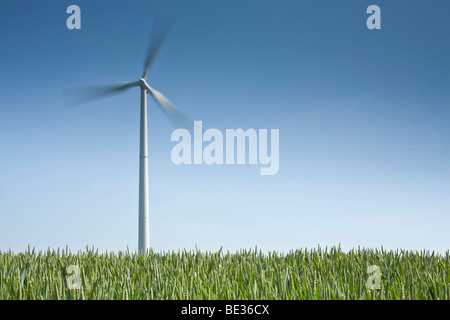 Windkraftanlage vor blauem Himmel, Feld im Vordergrund Stockfoto