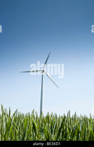 Windkraftanlage vor blauem Himmel, Feld im Vordergrund Stockfoto