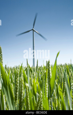 Windkraftanlage vor blauem Himmel, Feld im Vordergrund Stockfoto