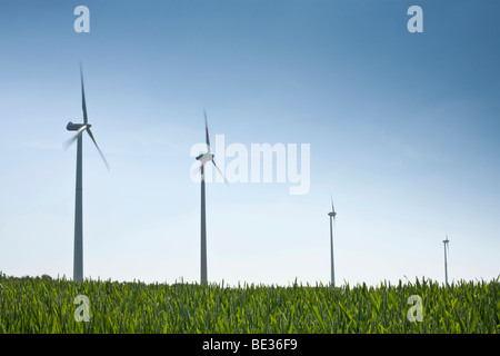 Windkraftanlagen vor blauem Himmel, Feld im Vordergrund Stockfoto