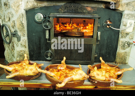 Spanferkel braten am offenen Feuer im Ofen, Segovia, Provinz Kastilien, Spanien, Europa Stockfoto