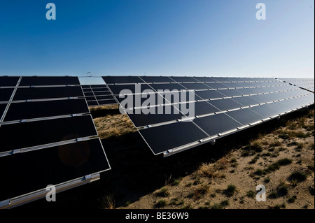 Deutschlands größte Solarpark in Lieberose, Spreewald, Brandenburg, Deutschland, Europa Stockfoto