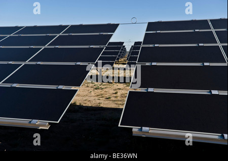 Deutschlands größte Solarpark in Lieberose, Spreewald, Brandenburg, Deutschland, Europa Stockfoto