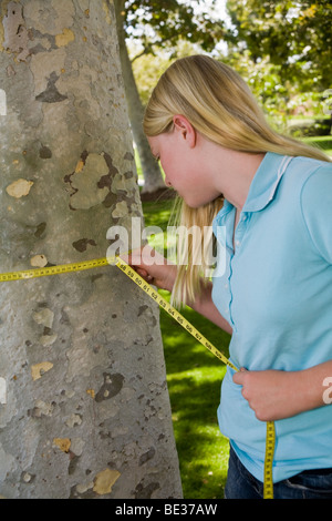 11-12 Jahre alten Kind Maßnahmen der Umfang, in Zentimetern, einer Platane Baumstamm Natur, natürliche Umgebung junger Mensch Menschen HERR © Myrleen Pearson Stockfoto