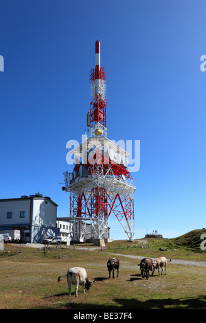 Sender auf Mt. Patscherkofel, Tuxer Alpen, Tirol, Austria, Europe Stockfoto