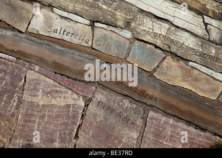 Geologie & gravierte Felsen von Knockan Crag. National Nature Reserve. Creag eine Chnocain Tearmann Nadair, Nord - West Highlands, Schottland, Großbritannien Stockfoto