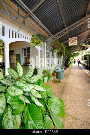 Historic Village Kuranda Station, Kuranda Scenic Railway, Regenwald, Atherton Tablelands, Queensland, Australien Stockfoto