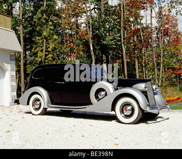 1938 Packard Super 8. Stockfoto