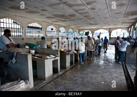 Fischmarkt in Stonetown, Stone Town, Sansibar, Tansania, Afrika Stockfoto