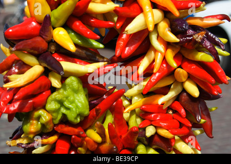 öffentliche Hecht-Markt in Seattle, usa Stockfoto