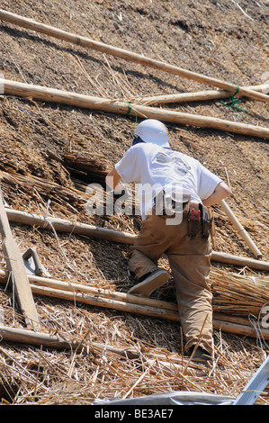 Thatched Dach, Gassho, Gassho-Zukuri, eine traditionellen japanischen Bauernhaus ist neu gedeckt, Ohara in Kyoto, Japan, Asien Stockfoto