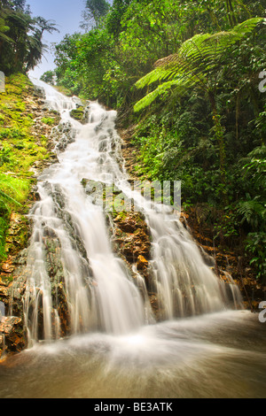 Wasserfall in den Regenwäldern des Bwindi Impenetrable National Park im Süden Ugandas. Stockfoto