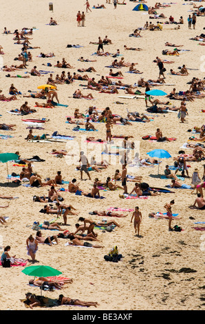 Sommer Massen an den Stränden von Bondi Beach. Sydney, New South Wales, Australien Stockfoto