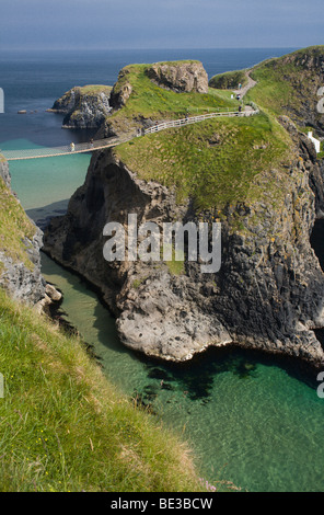 Carrick-a-Rede-Hängebrücke, verbindet das Festland mit Carrick Island, County Antrim, Ulster, Nordirland, Vereinigtes Stockfoto