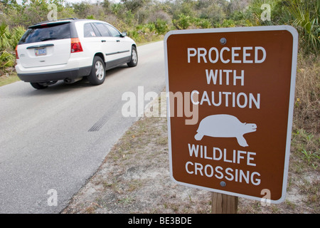 Zeichen, Verkehr Wildbrücke in einem State Park in Florida, USA Stockfoto