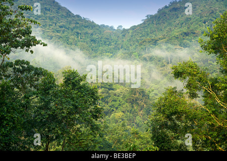 Blick auf die Regenwälder des Bwindi Impenetrable National Park im Süden Ugandas. Stockfoto