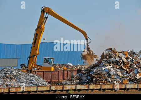 Schüttgutumschlag Kran auf einem Schrottplatz, Schrott Insel DuisPort Binnenhafen Duisburg, Nordrhein-Westfalen, Deutschland, Europa Stockfoto