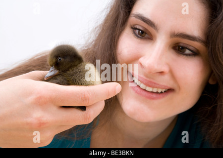 Mädchen mit einer Ente, Drake, Küken Stockfoto