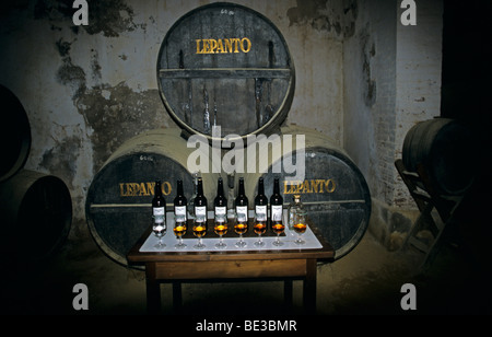 Sherry cave Weinberg Display, Jerez, Andalusien, Spanien, Europa Stockfoto