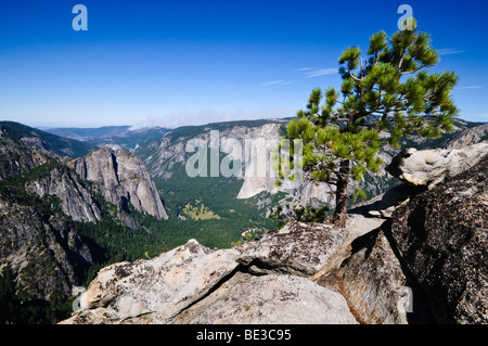 YOSEMITE NATIONAL PARK, Kalifornien – der zerklüftete Taft Point Trail schlängelt sich durch Kiefernwälder in Richtung eines atemberaubenden Ausblicks auf das Yosemite Valley. Der Pfad führt zu dramatischen Ausblicken auf die Klippen, die eine weniger überfüllte Alternative zu beliebten Ausblicken bieten und die beeindruckenden Granitformationen und die weite Wildnis des Parks zeigen. Stockfoto