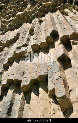 Riesige Basaltsäulen am Awan Schlucht in der Nähe von Garni, Canyon, Kotayk Region, Armenien, Asien Stockfoto