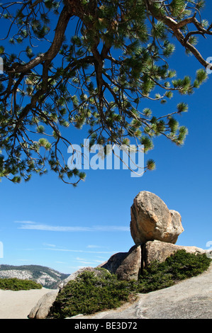 YOSEMITE NATIONAL PARK, Kalifornien – der zerklüftete Taft Point Trail schlängelt sich durch Kiefernwälder in Richtung eines atemberaubenden Ausblicks auf das Yosemite Valley. Der Pfad führt zu dramatischen Ausblicken auf die Klippen, die eine weniger überfüllte Alternative zu beliebten Ausblicken bieten und die beeindruckenden Granitformationen und die weite Wildnis des Parks zeigen. Stockfoto