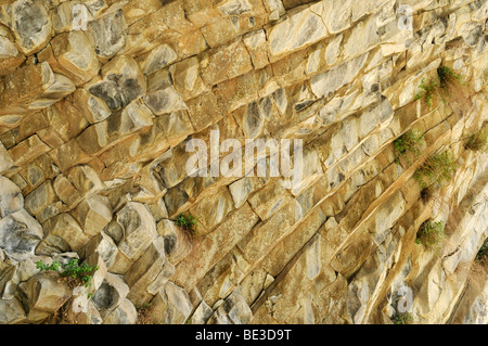 Riesige Basaltsäulen am Awan Schlucht in der Nähe von Garni, Canyon, Kotayk Region, Armenien, Asien Stockfoto