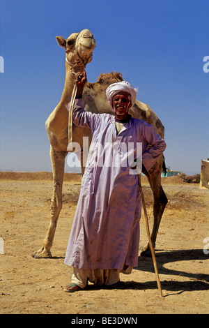 Beduinen, ägyptische in traditioneller Tracht und Kamel, Kleid, Dschjellahba, Jelleba, Kleidung, Bart, stolz, arabischen, weißen, Turban Stockfoto