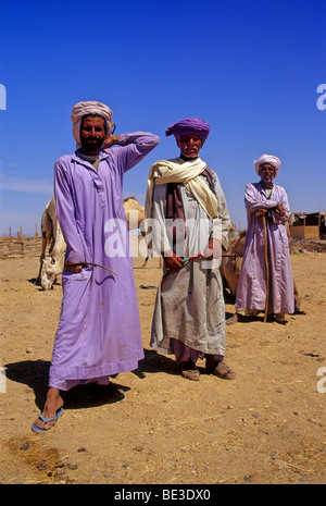 Drei Beduinen in Tracht, stolz, ägyptischen, Jellaba, Turban, Pose, Kamelmarkt, Shalatin, Ägypten, Afrika Stockfoto