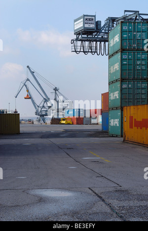 Bonner Hafen, mit Blick auf das Terminal, Kräne und Portalkran in den Rücken, gestapelten Übersee Container in der Front, North Rhi Stockfoto