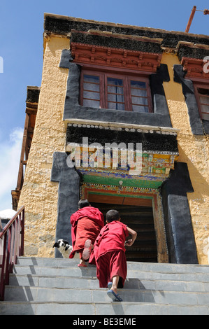 Thikse Kloster, Anfänger, die das Treppensteigen, das Oratorium, Ladakh, Jammu und Kaschmir, Nord-Indien, Himalaya, Asien Stockfoto