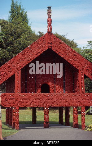 Neuseeland - Nordinsel - Bay of Plenty - Rotorua - Whare Kai - Maori Speisekammer Stockfoto