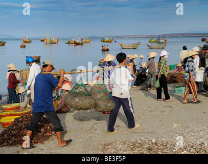 Fischer tragen Körbe mit Fisch, Frauen in den Fisch Markt, Strand von Mui Ne, Vietnam, Asien Stockfoto