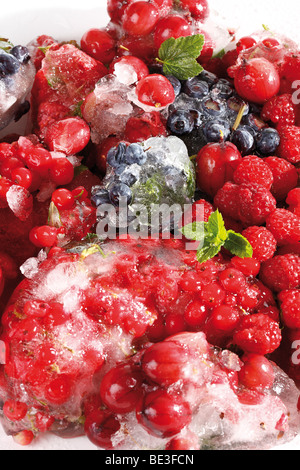 Gemischte gefrorene Beeren, schwarze Johannisbeeren, rote Johannisbeeren, Stachelbeeren, Blaubeeren, Himbeeren Stockfoto